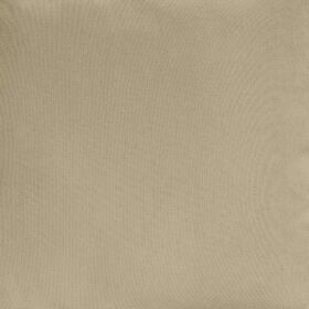 LINO ΜΑΞΙΛΑΡΟΘΗΚΗ RENAS 96 BEIGE 45X45 100% Πολυέστερ, Βελούδο - Image 2