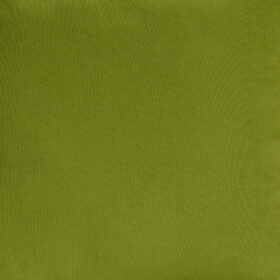 LINO ΜΑΞΙΛΑΡΟΘΗΚΗ RENAS 370 APPLE 45X45 100% Πολυέστερ, Βελούδο - Image 2