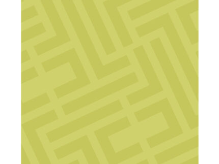 Πετσέτα Θαλάσσης Fresh Lime της Feel and Touch (100% Cotton)