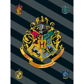 Κουβέρτα Fleece Harry Potter 100 x 150 cm  100% Πολυέστερ Γκρι BOREA