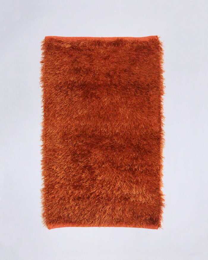 Shaggy Χαλί 4 Εποχών Aryama σε 7 Αποχρώσεις 60x90cm Rust της Pennie - Image 1