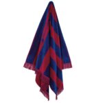 GREENWICH POLO CLUB ΠΕΤΣΕΤΑ ΘΑΛΑΣΣΗΣ 90Χ170 3724 BLUE, RED GREENWICH POLO CLUB - Image 2