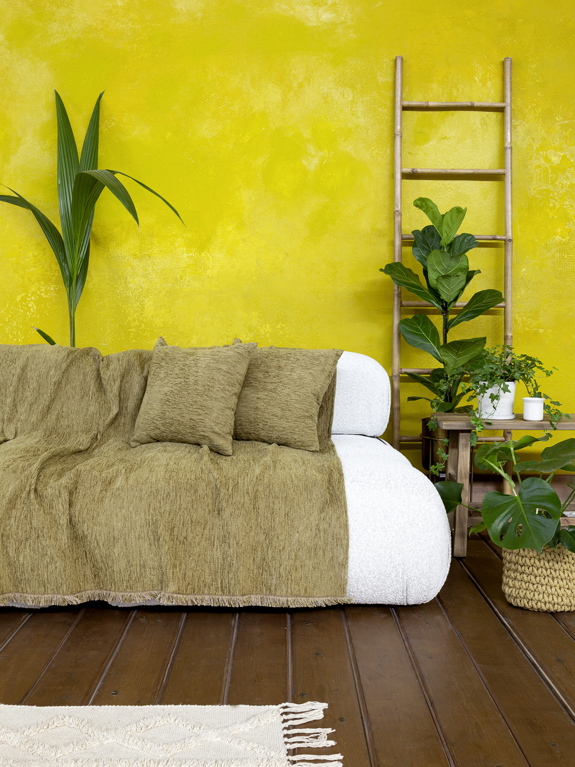 5206482087972.jpg Ριχτάρι 180x240 - Velvety Greenery της Nima Home Chenille, 55% Acrylic - 20% Polyester - 25% Cotton Διθέσιος 180x240 - Image 1